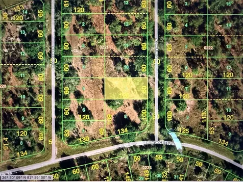13263 Banyan Drive Punta Gorda FL 33955