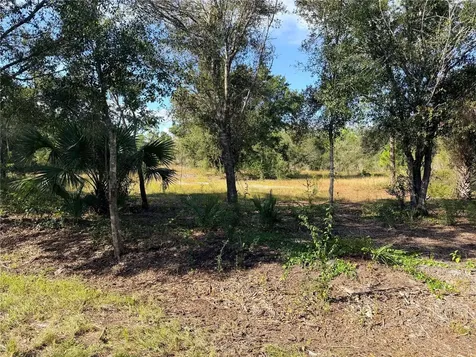 13263 Banyan Drive Punta Gorda FL 33955