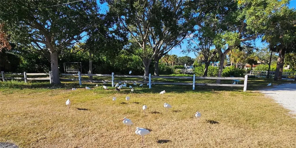 2960 59th Street S Gulfport FL 33707