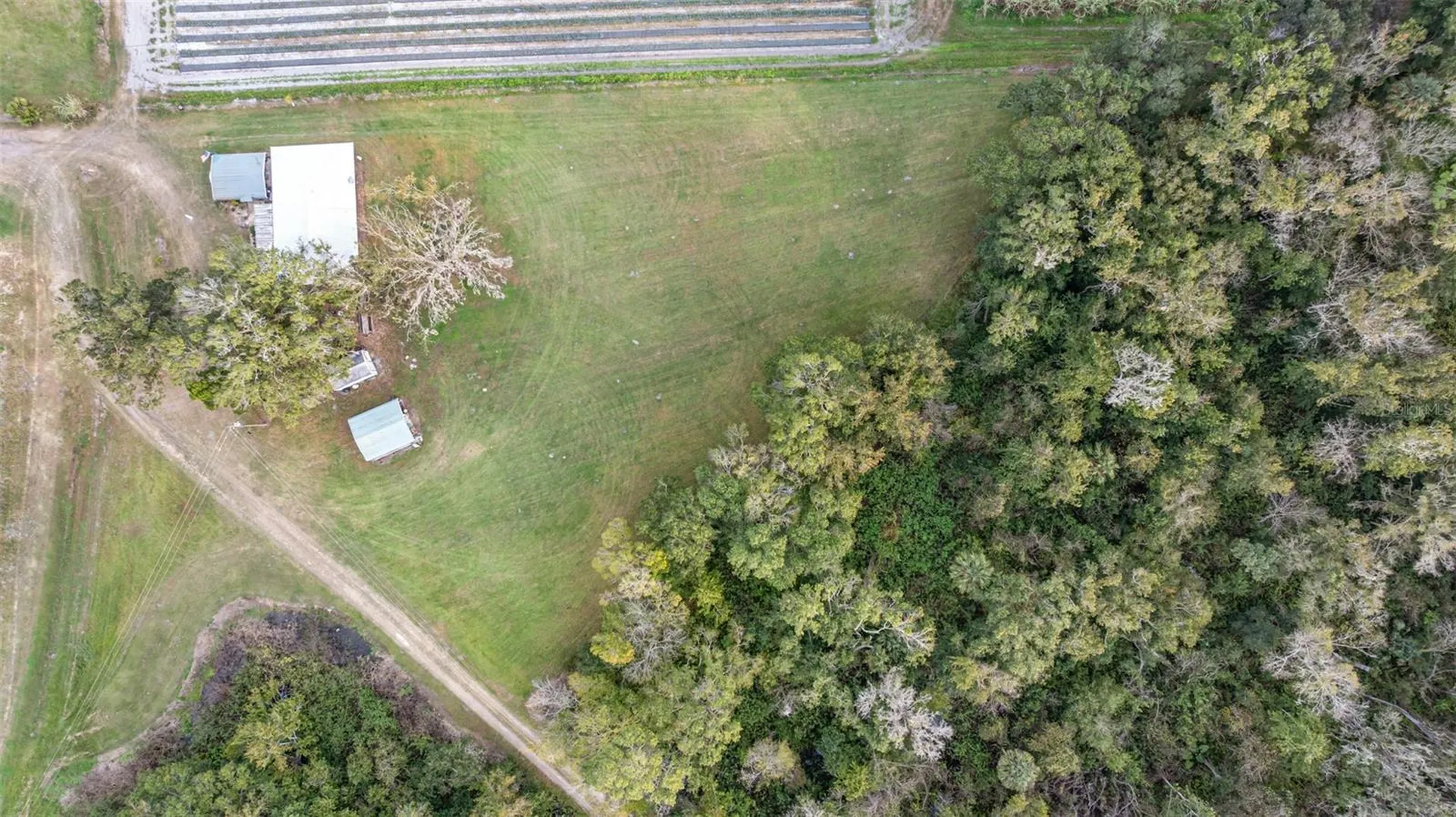 910 Bumby Lane Wauchula FL 33873