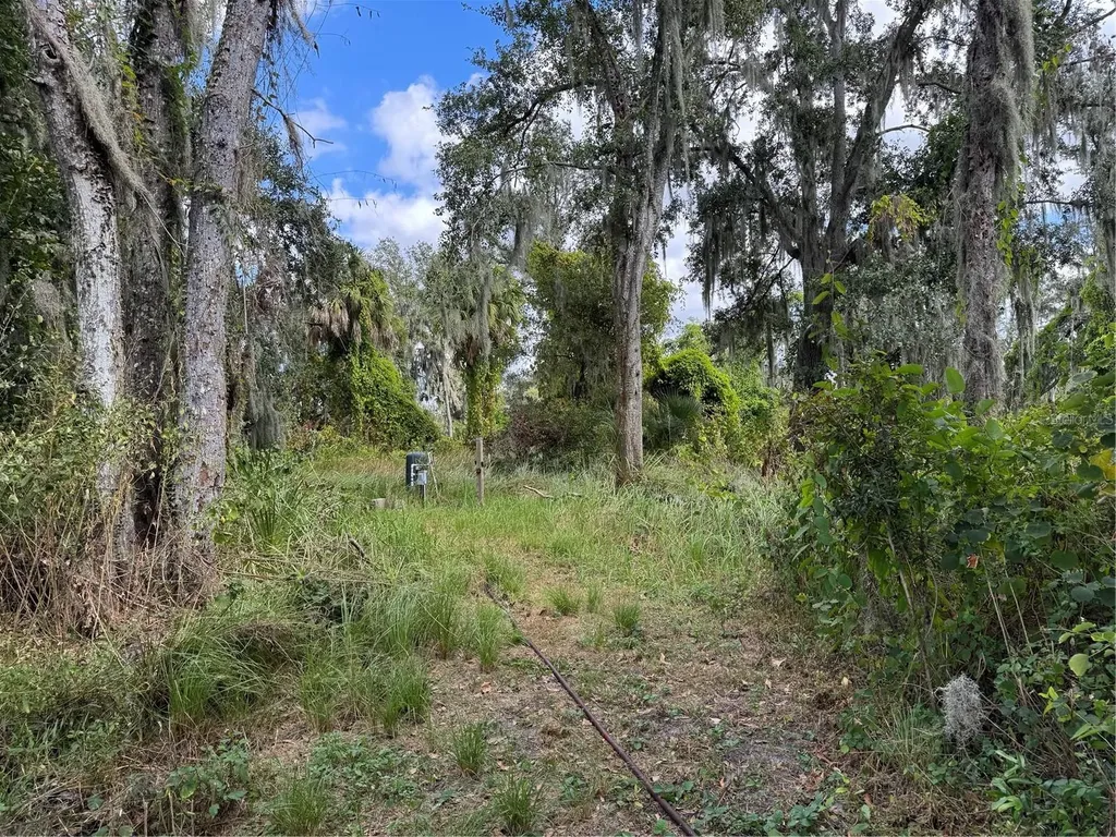 3721 Porter Road Lithia FL 33547