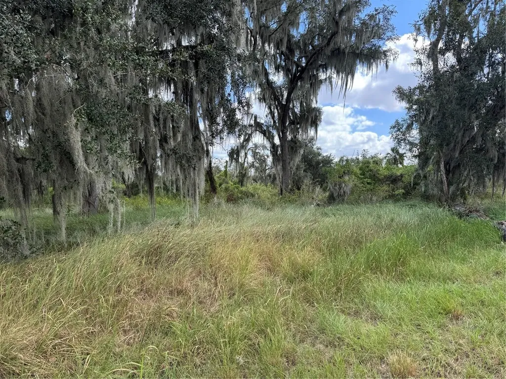 3721 Porter Road Lithia FL 33547