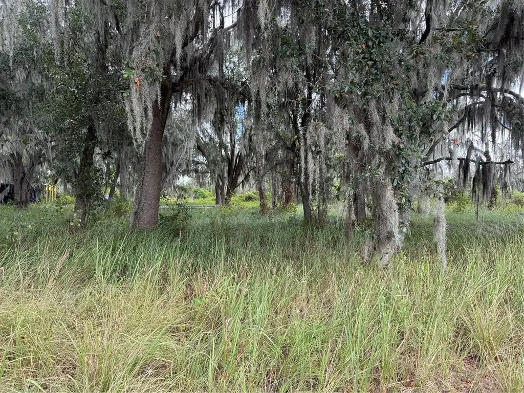 3721 Porter Road Lithia FL 33547