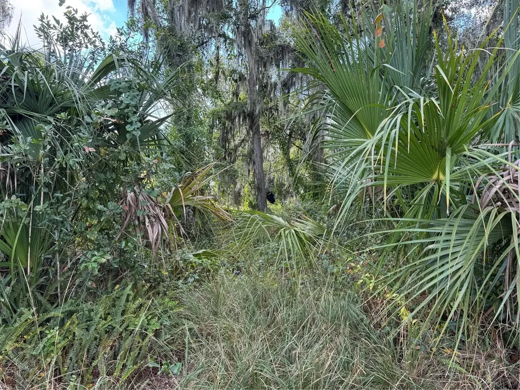 3721 Porter Road Lithia FL 33547