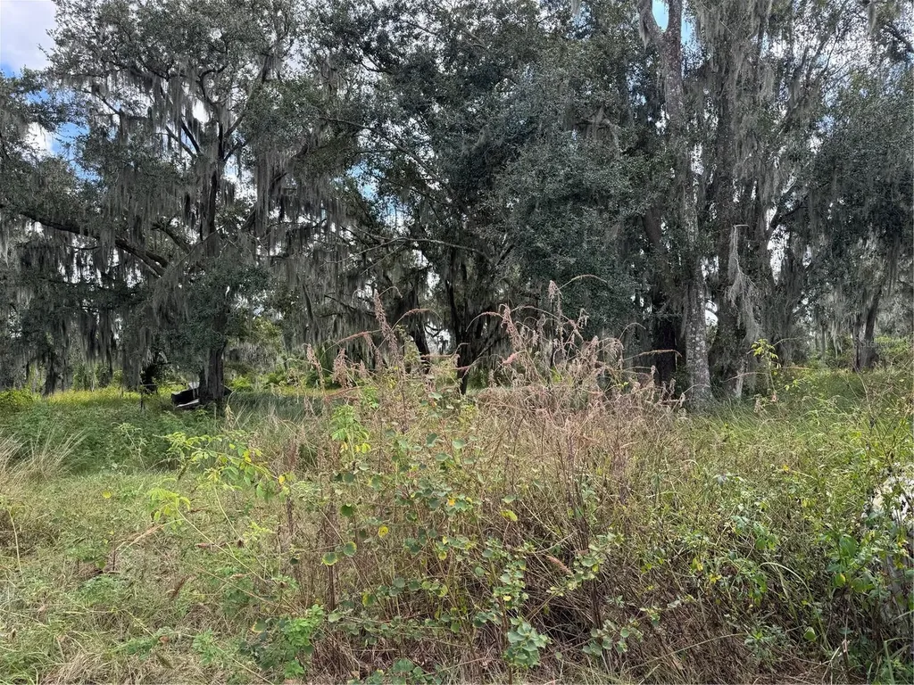 3721 Porter Road Lithia FL 33547