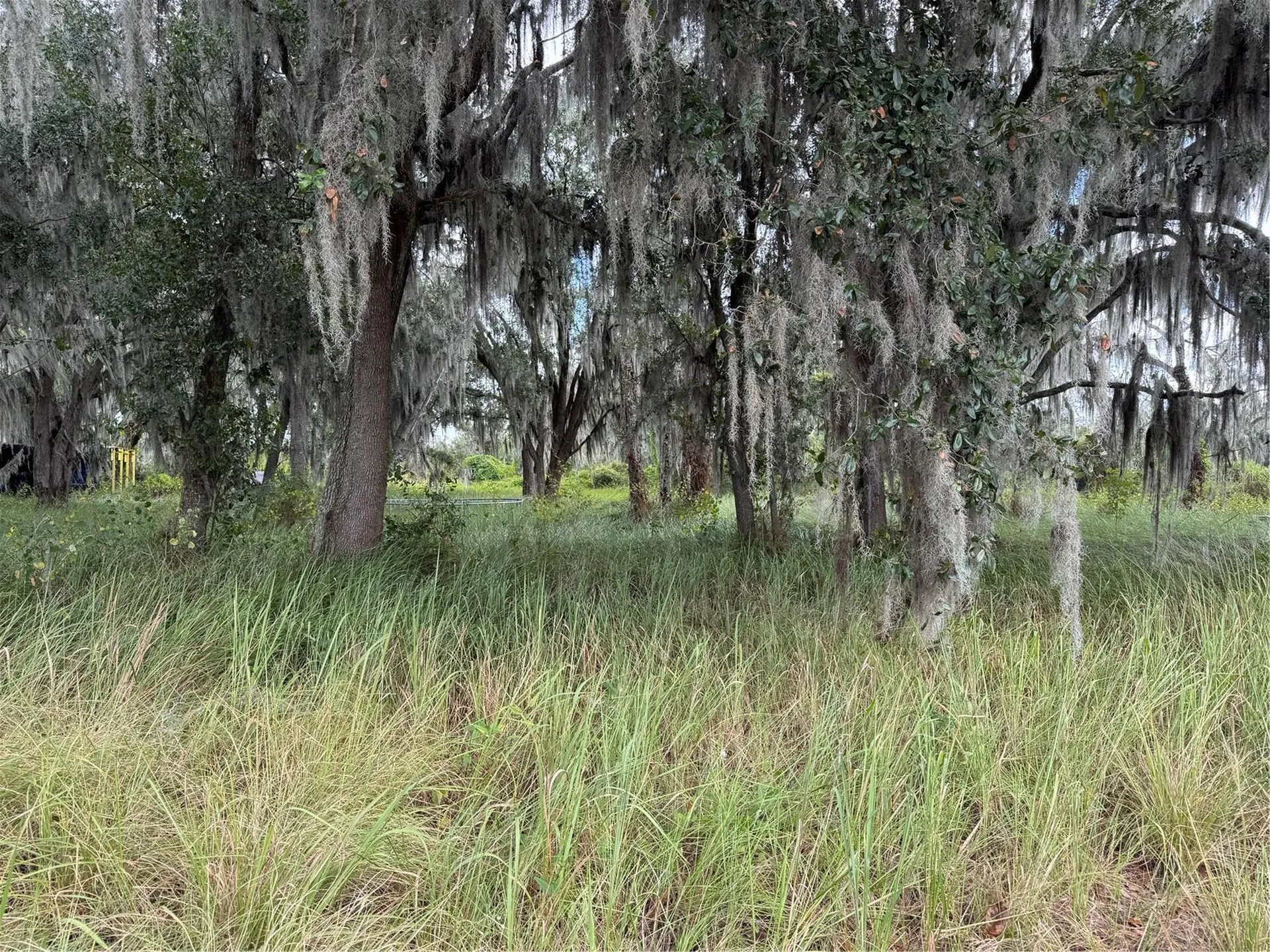 3721 Porter Road Lithia FL 33547