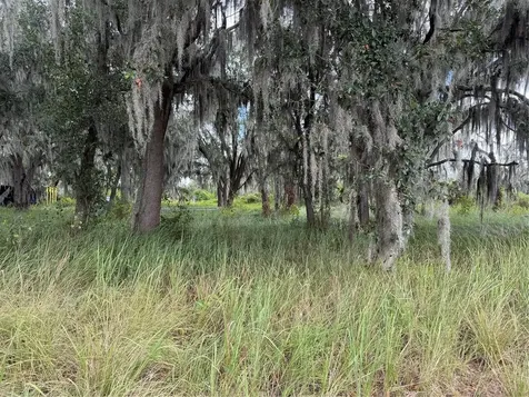 3721 Porter Road Lithia FL 33547