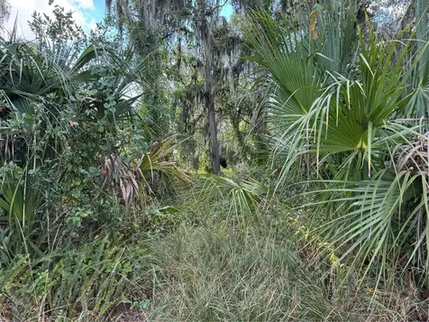 3721 Porter Road Lithia FL 33547