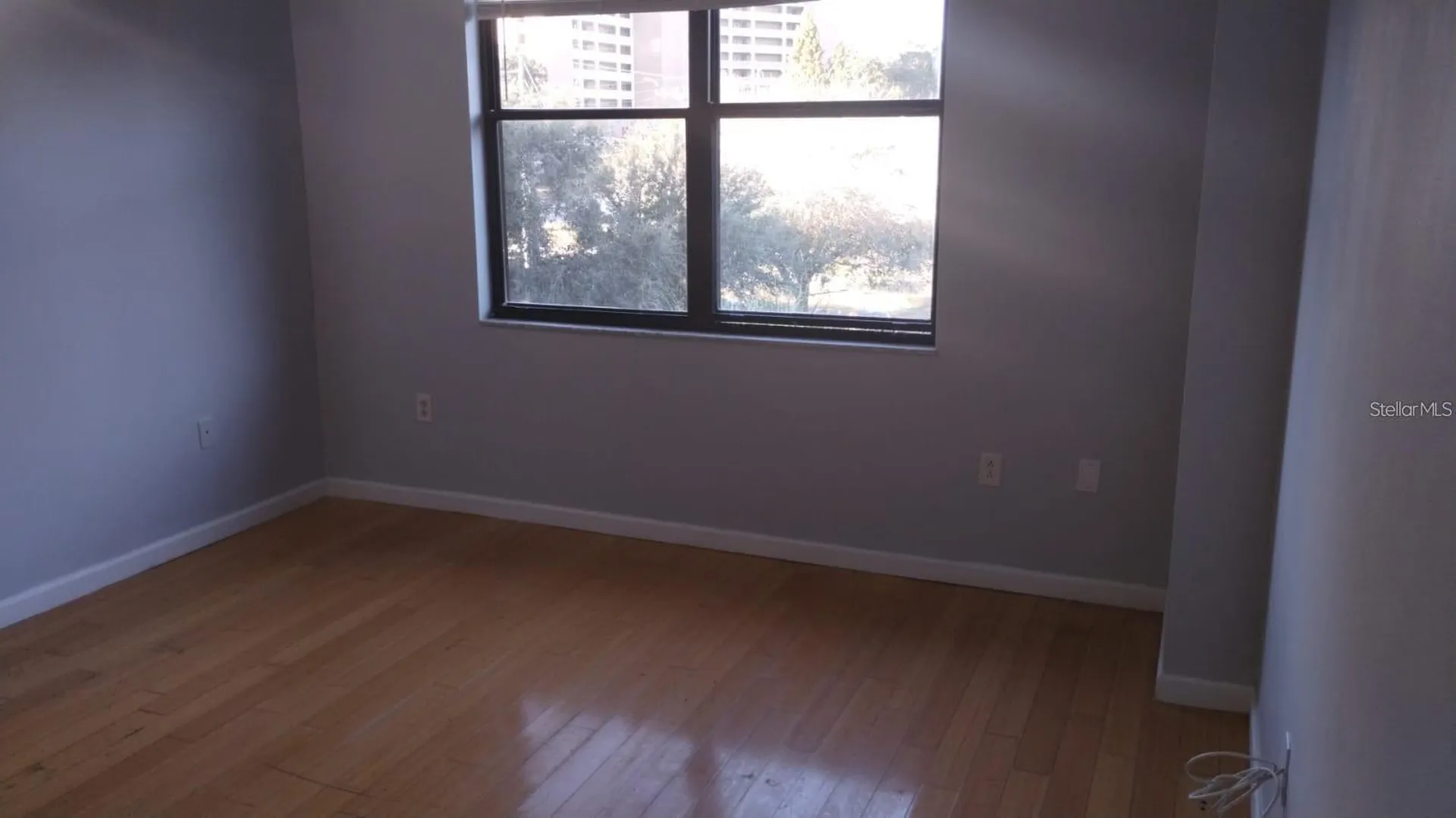 701 S Madison Avenue Clearwater FL 33756