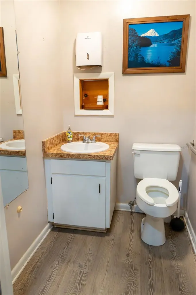 915 E Alfred Street Tavares FL 32778