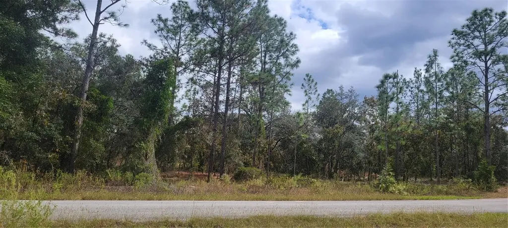 0 SW Arrow Leaf Trail Dunnellon FL 34431