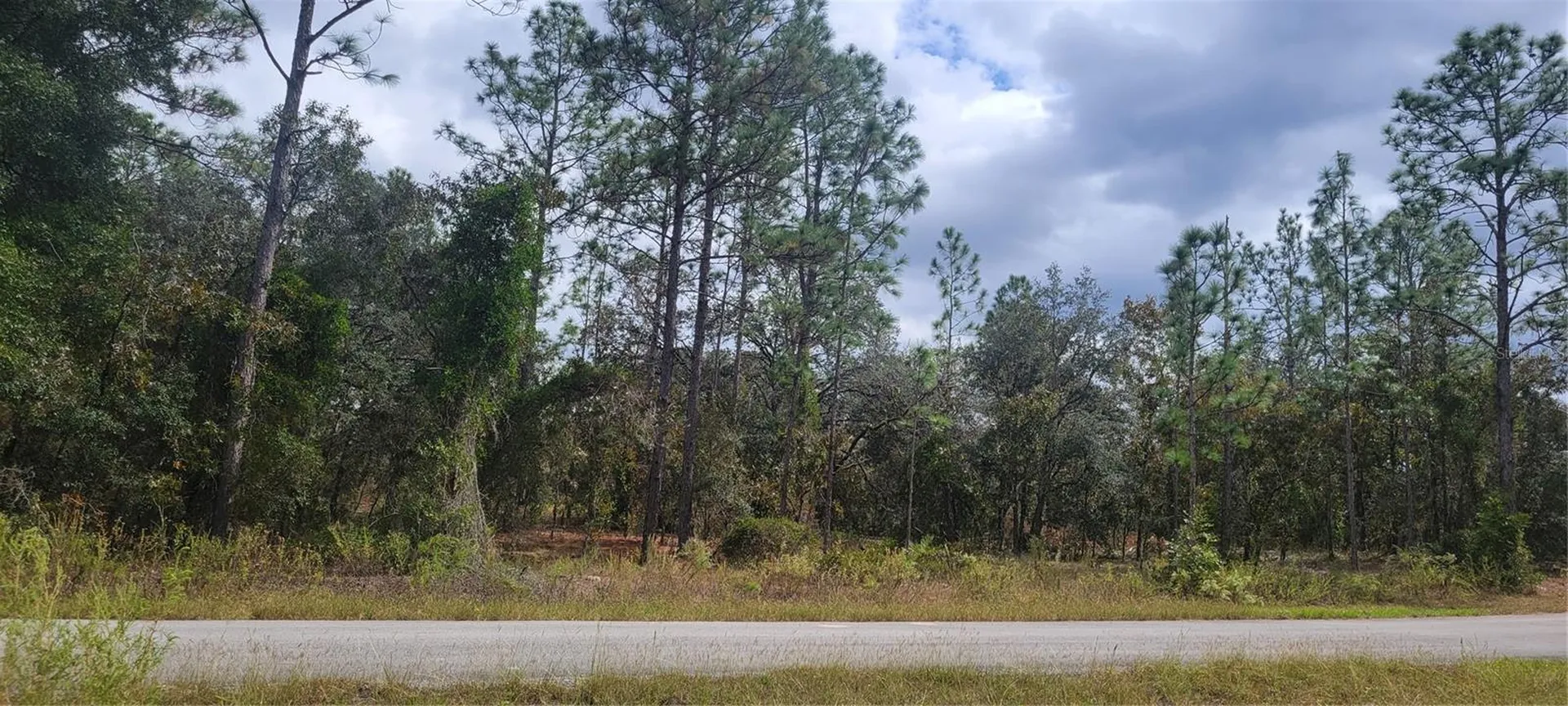 0 SW Arrow Leaf Trail Dunnellon FL 34431