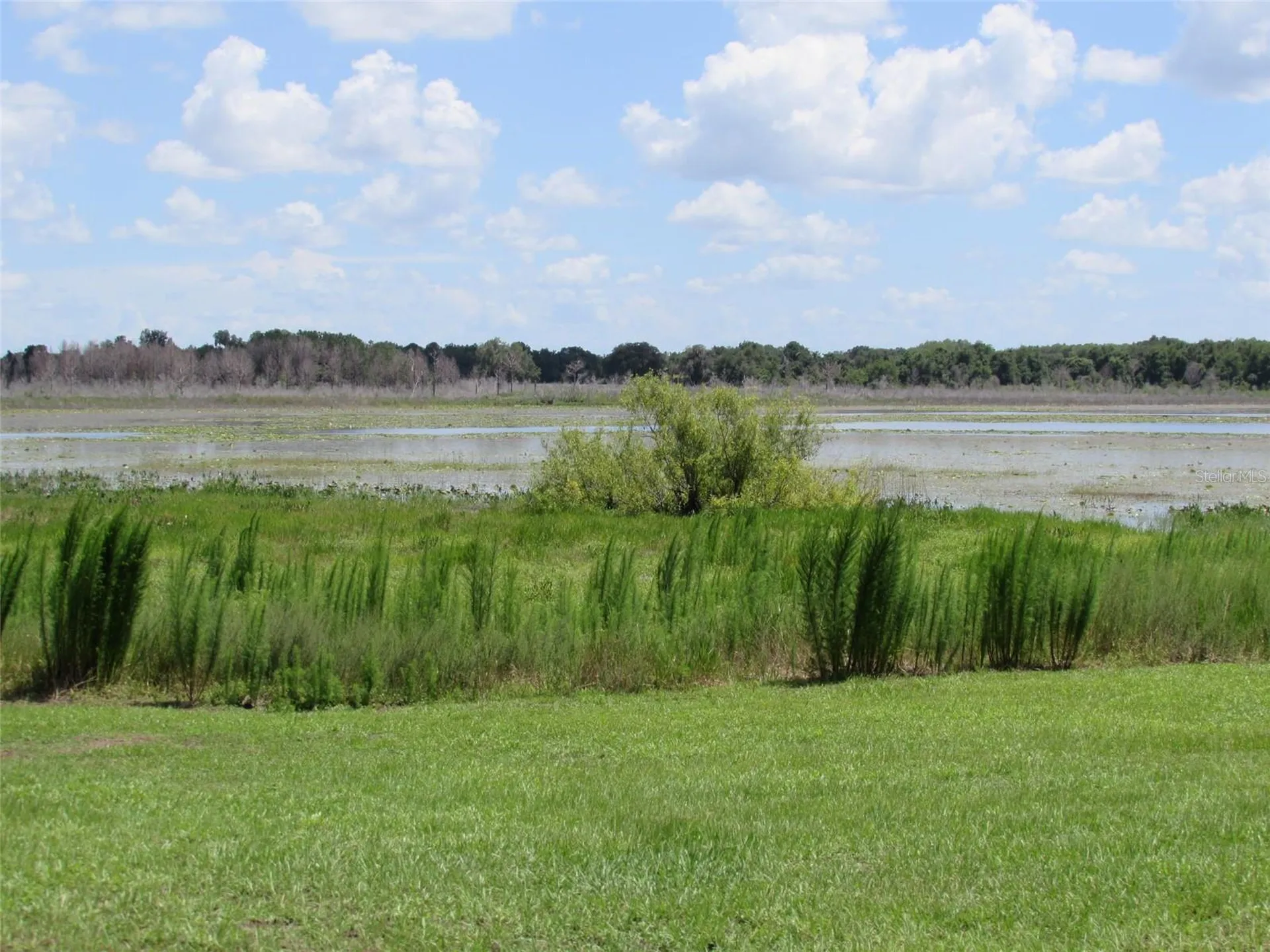 0 SW Arrow Leaf Trail Dunnellon FL 34431