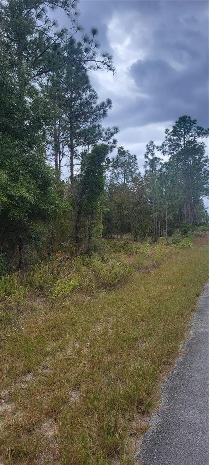 0 SW Arrow Leaf Trail Dunnellon FL 34431