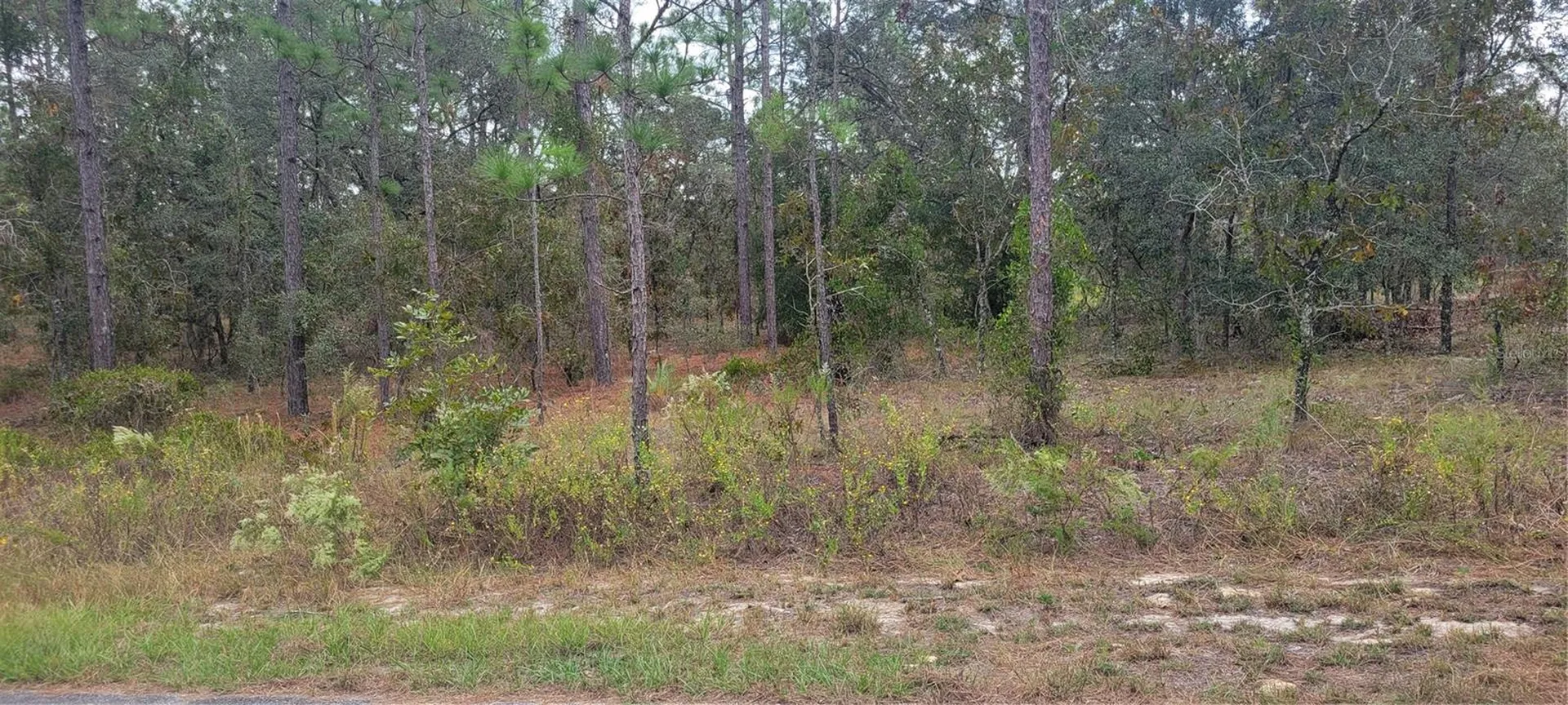 0 SW Arrow Leaf Trail Dunnellon FL 34431