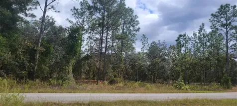 0 SW Arrow Leaf Trail Dunnellon FL 34431