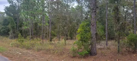 0 SW Arrow Leaf Trail Dunnellon FL 34431