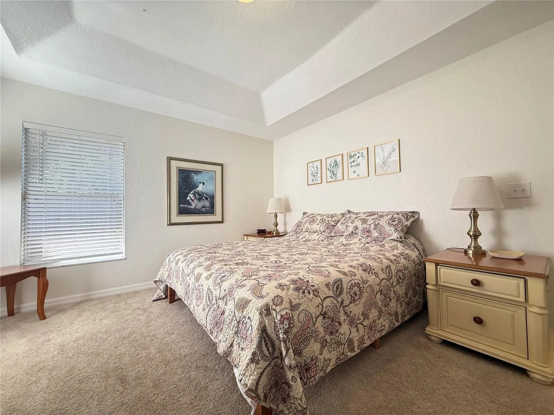 6470 NW 56th Terrace Ocala FL 34482