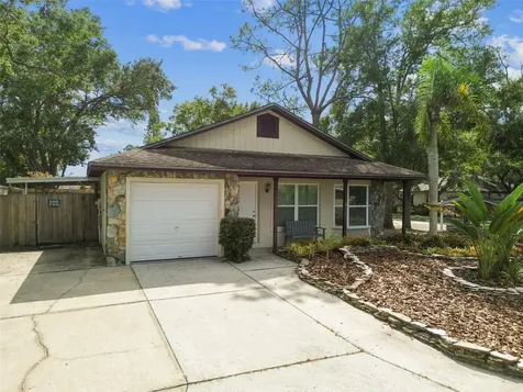 3629 Kathy Court Palm Harbor FL 34684