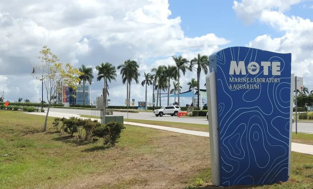 5667 Sheffield Greene Circle Sarasota FL 34235