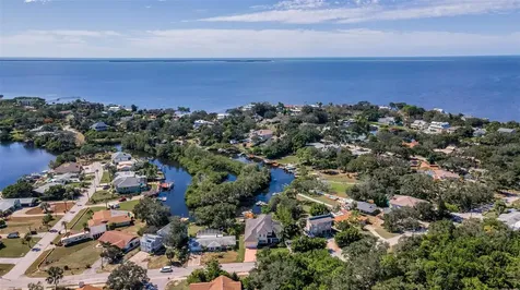 3143 Pineview Drive Holiday FL 34691
