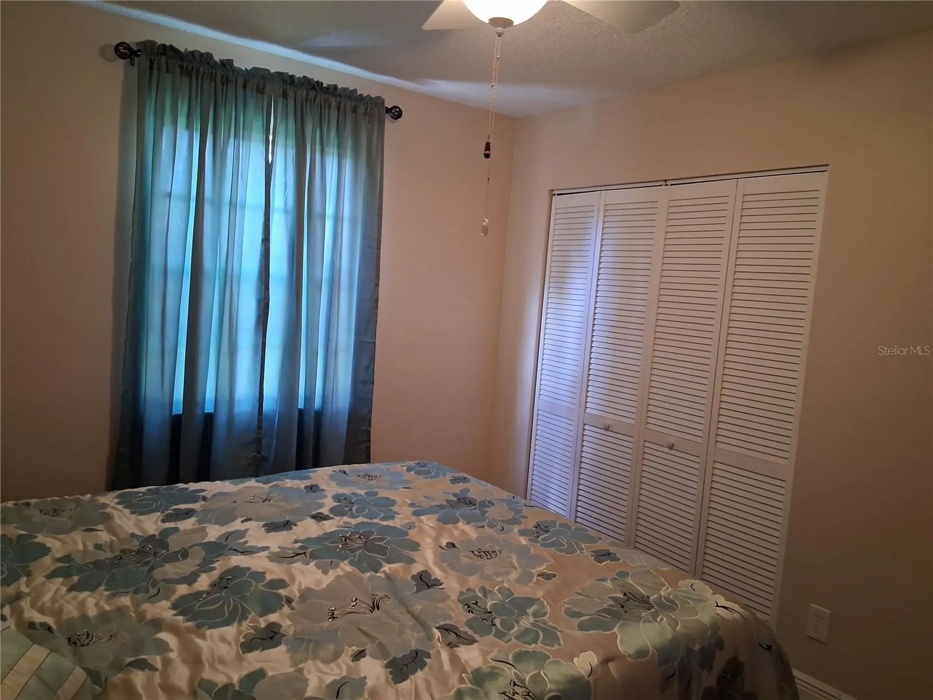 11204 Elmfield Drive Tampa FL 33625