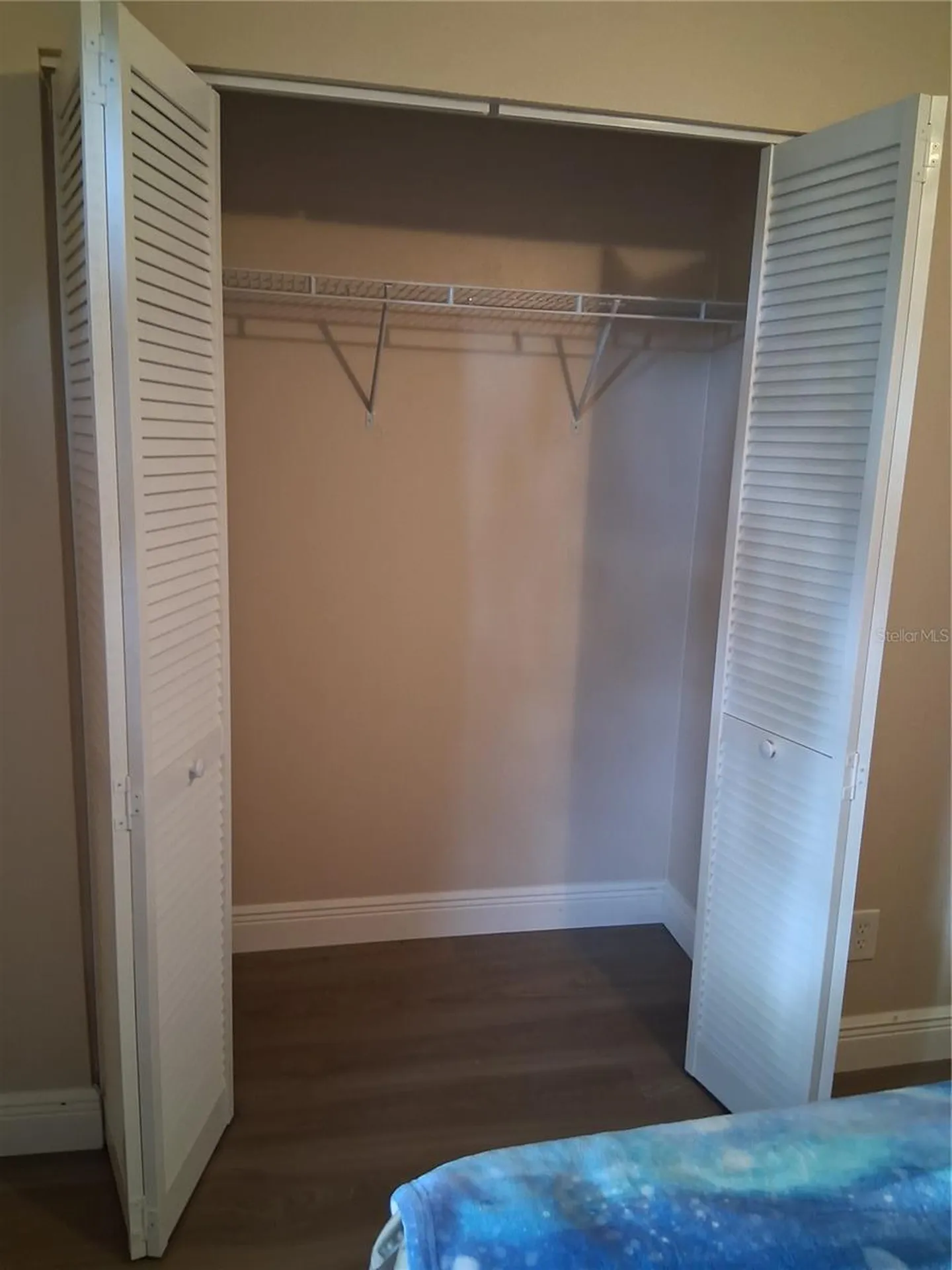11204 Elmfield Drive Tampa FL 33625