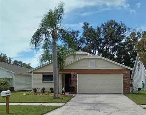 11204 Elmfield Drive Tampa FL 33625