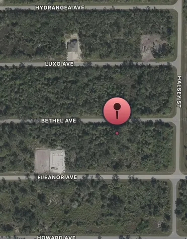 14233 Bethel Avenue Port Charlotte FL 33953