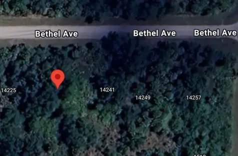 14233 Bethel Avenue Port Charlotte FL 33953
