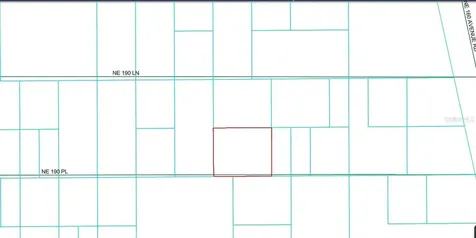 Tbd NE 190th Place Fort Mc Coy FL 32134