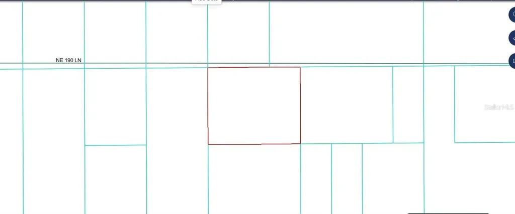 Tbd NE 190th Lane Fort Mc Coy FL 32134