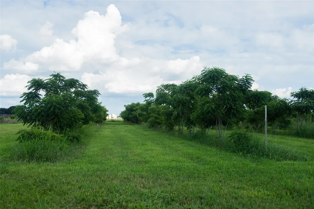 Blanton Acres Road Plant City FL 33565