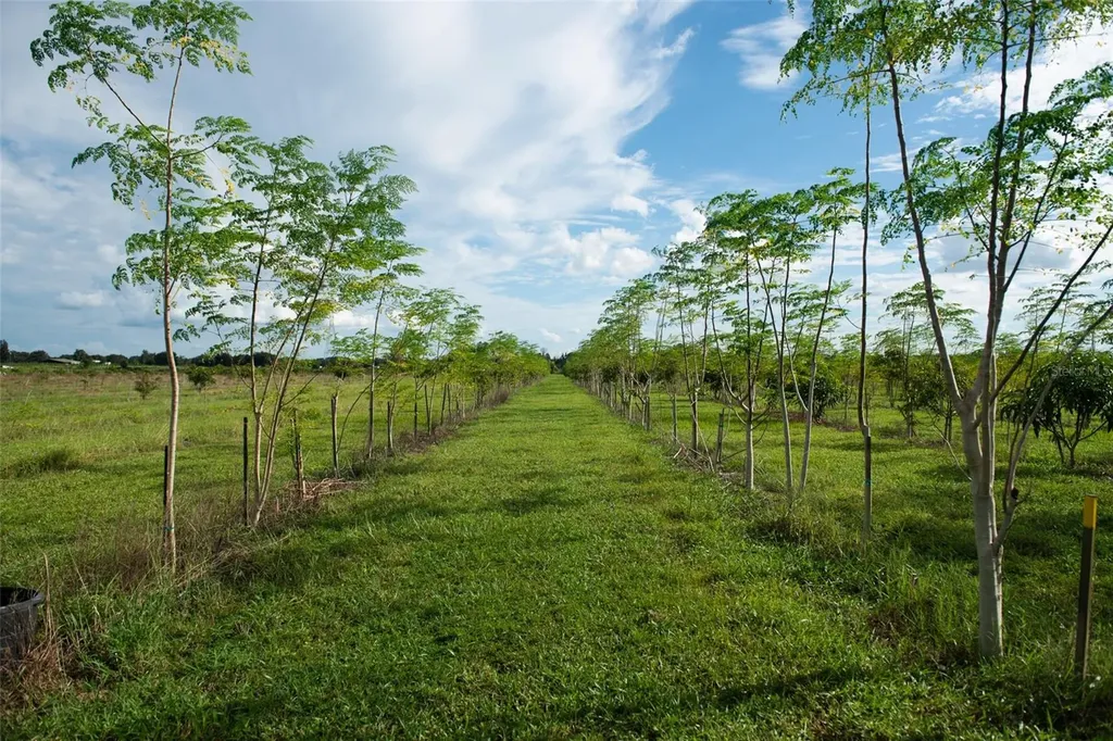 Blanton Acres Road Plant City FL 33565