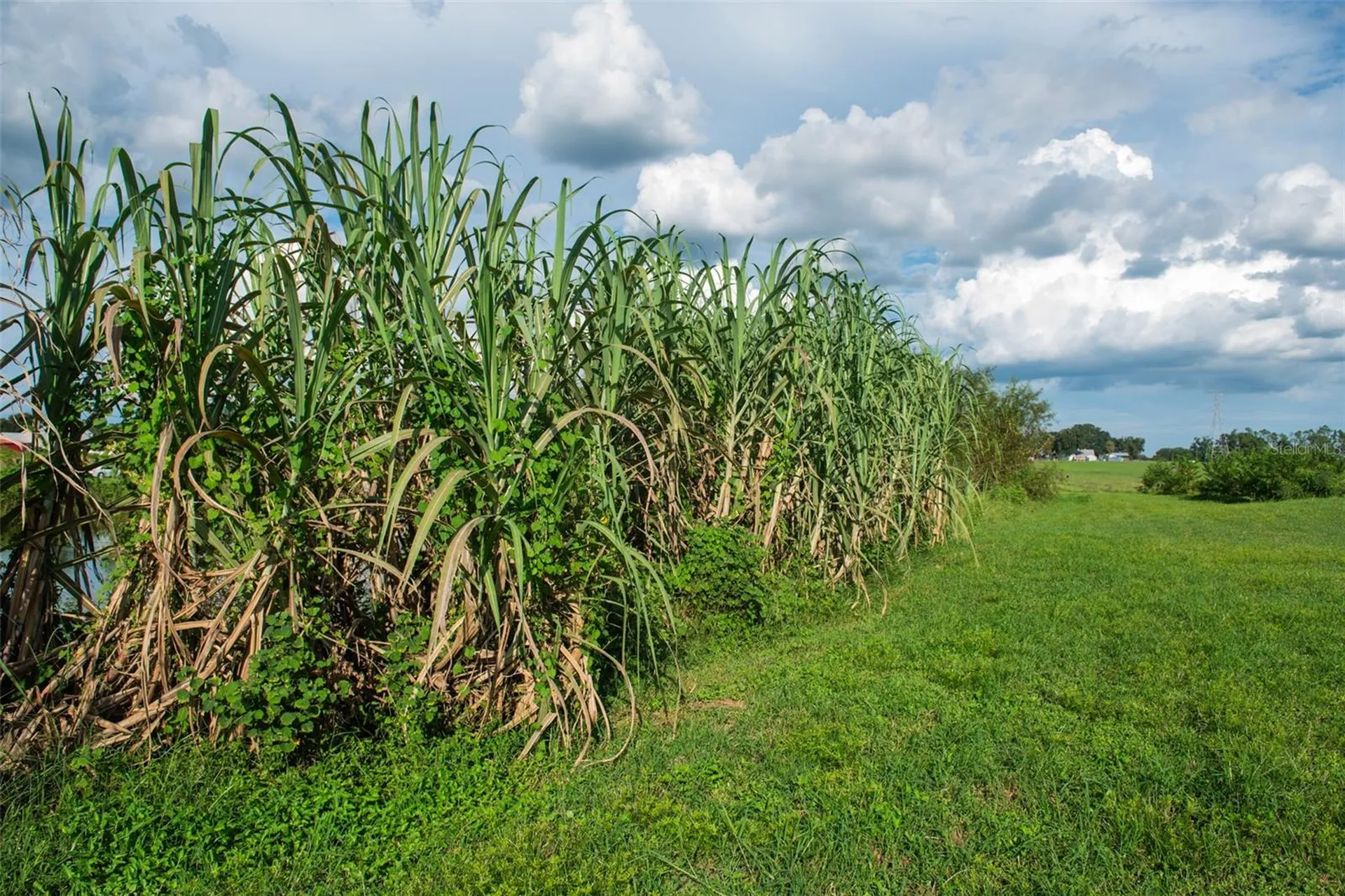 Blanton Acres Road Plant City FL 33565