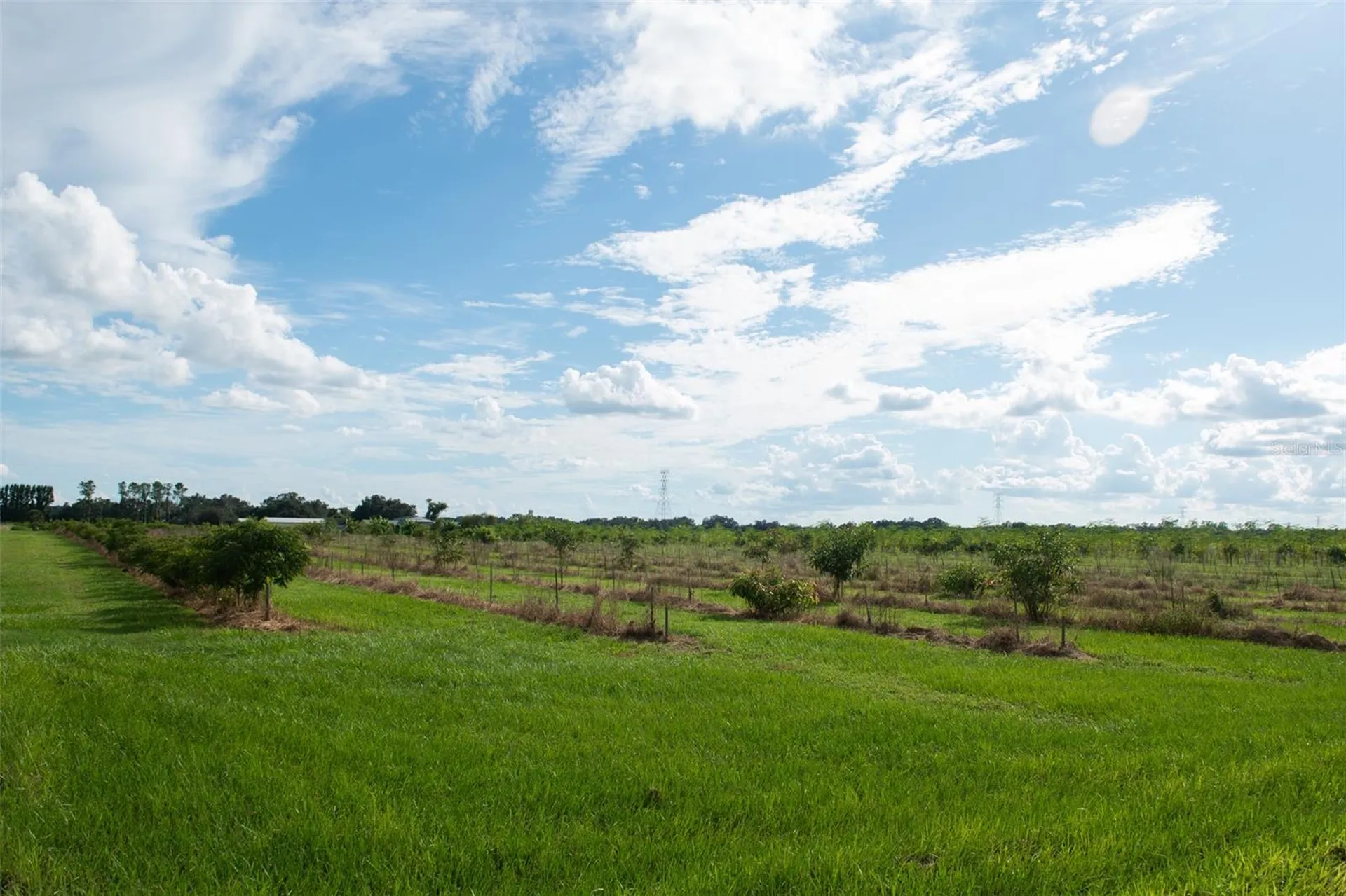 Blanton Acres Road Plant City FL 33565