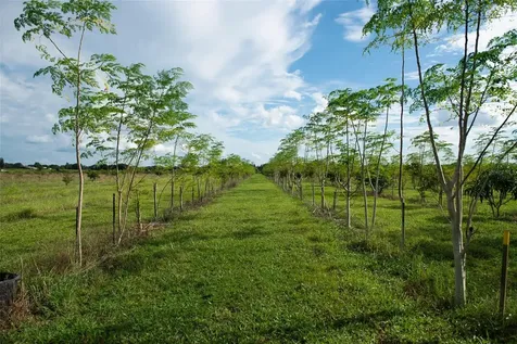 Blanton Acres Road Plant City FL 33565