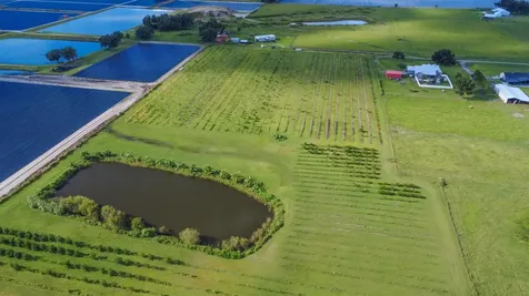 Blanton Acres Road Plant City FL 33565