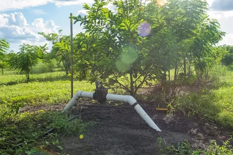 Blanton Acres Road Plant City FL 33565