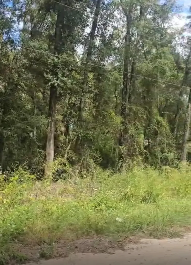 SW 137 Avenue Dunnellon FL 34432