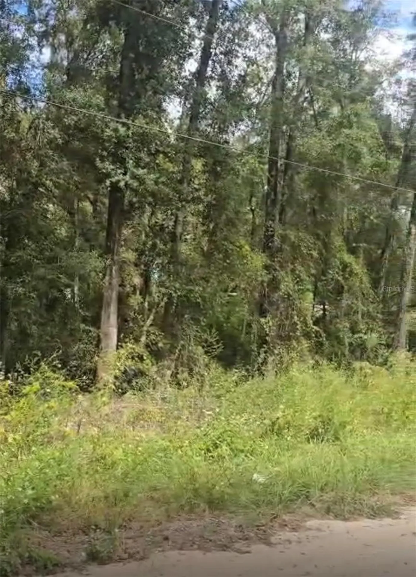 SW 137 Avenue Dunnellon FL 34432