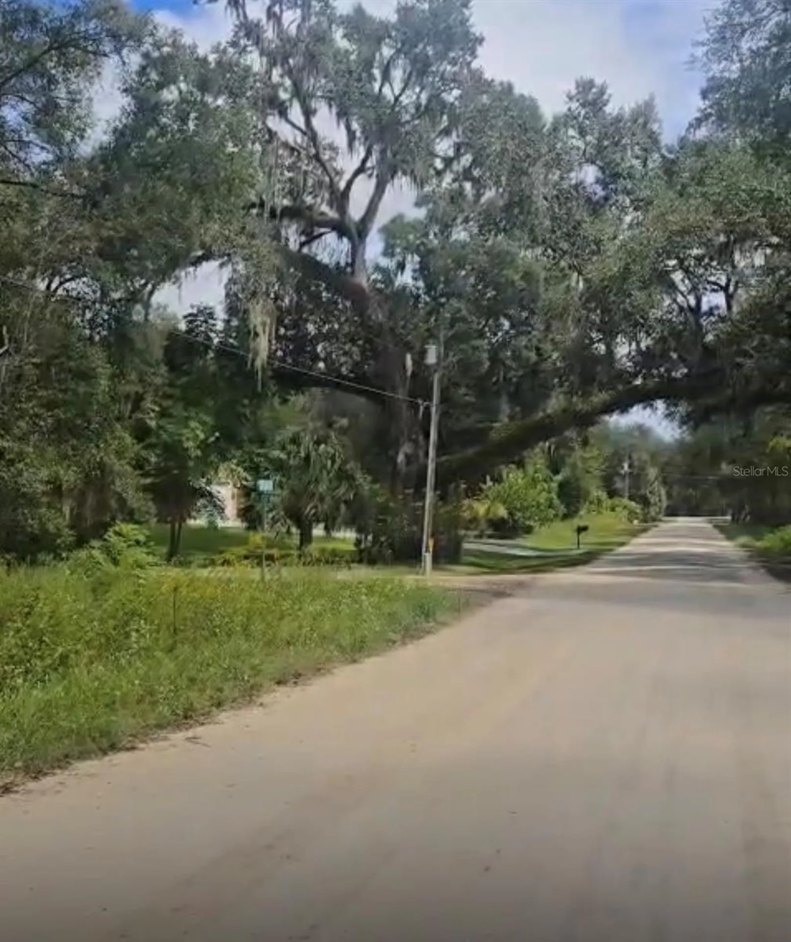 SW 137 Avenue Dunnellon FL 34432
