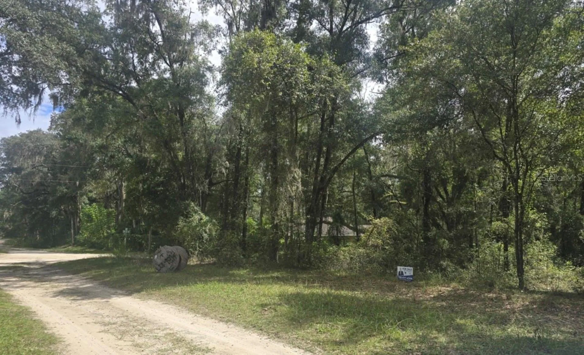 SW 137 Avenue Dunnellon FL 34432