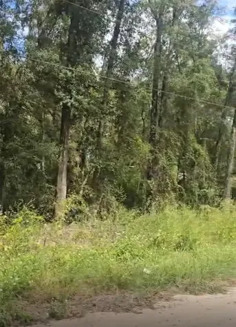 SW 137 Avenue Dunnellon FL 34432