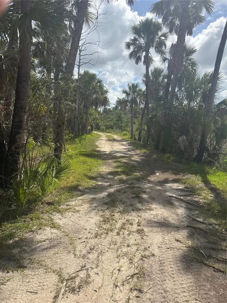3217 Shine Lane Spring Hill FL 34607