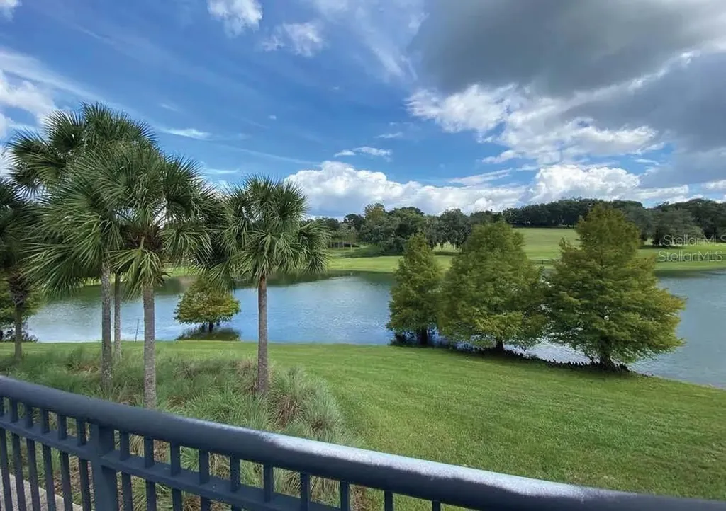 30101 Bretton Loop Mount Dora FL 32757