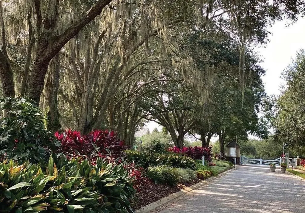 30101 Bretton Loop Mount Dora FL 32757