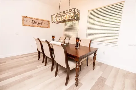 30101 Bretton Loop Mount Dora FL 32757