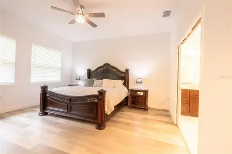 30101 Bretton Loop Mount Dora FL 32757