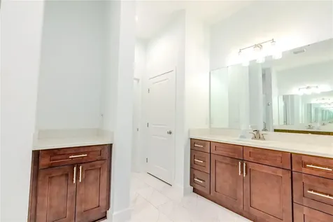30101 Bretton Loop Mount Dora FL 32757